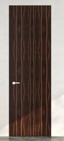 SECRET DOORS приховані в шпоні  - Міжкімнатні двері