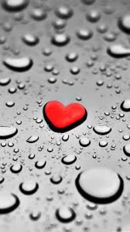 Приховані двері зі стіновими панелями - Межкомнатные двери