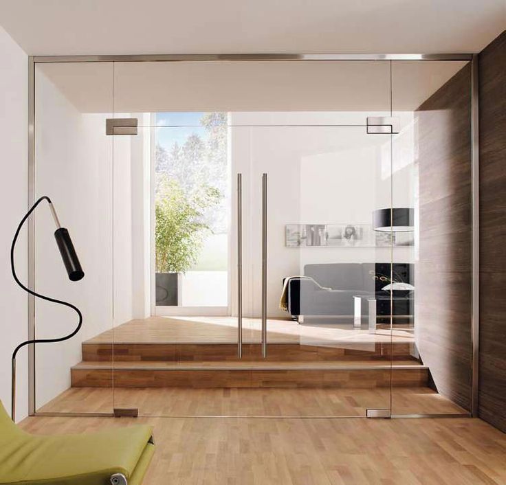 Плюсы, минусы и особенности маятниковой двери