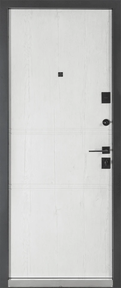 модель 539 - Doors in stock