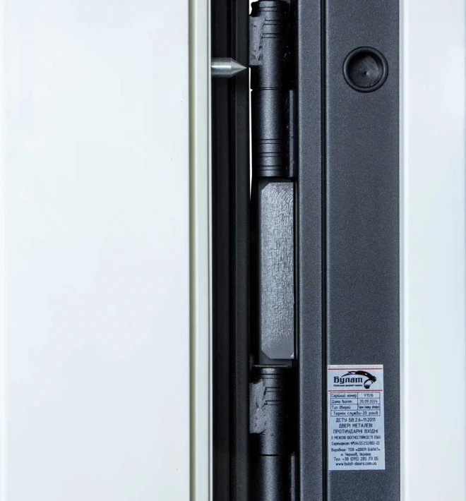 Булат модель 269\263  Securemme - Двери в наличии на складе