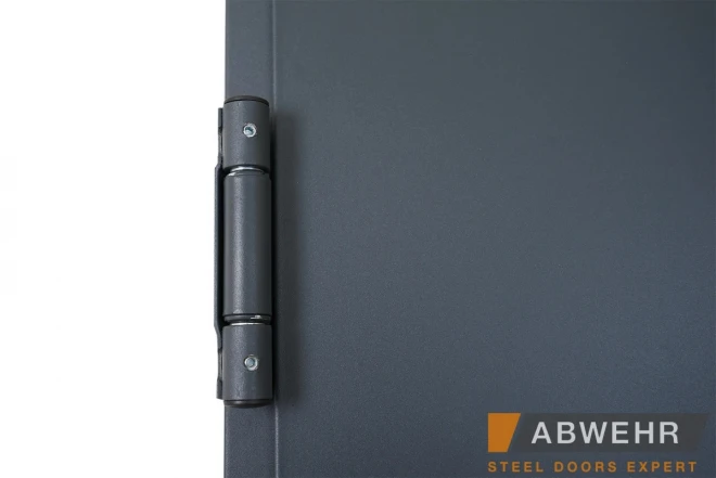 ABWEHR -EI-30 (TD2) - Двері в наявності на складі