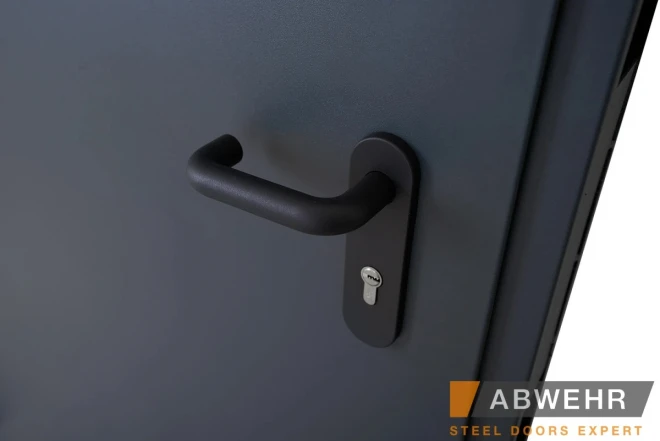 ABWEHR -EI-30 (TD2) - Двері в наявності на складі