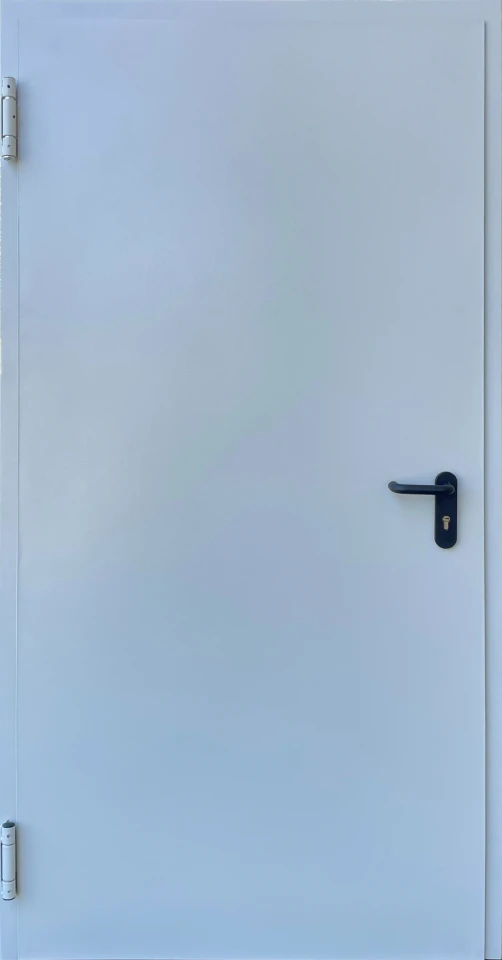 ФОРТ-М Технічні Е-60 - Двері в наявності на складі