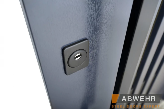 ABWEHR - Revolution (LP-6) - Двері в наявності на складі