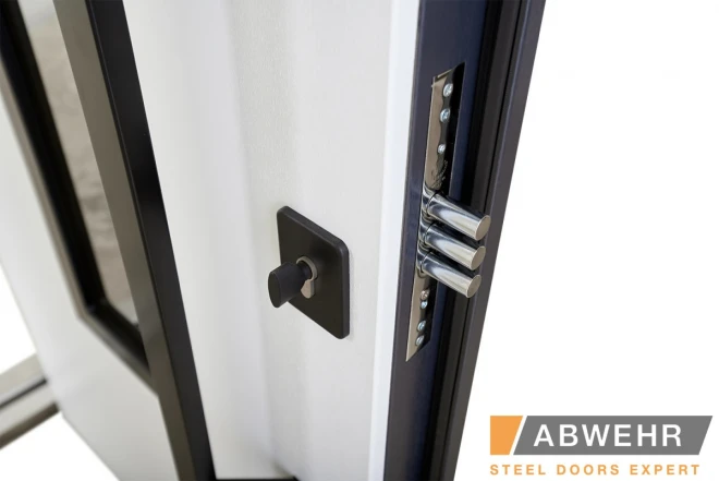 ABWEHR - Revolution (LP-6) - Двері в наявності на складі