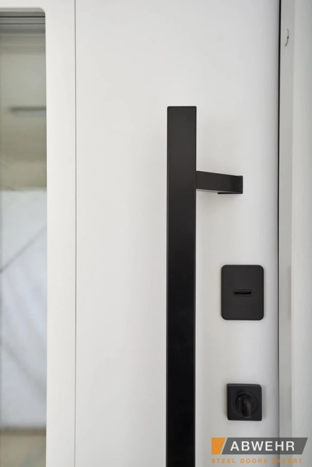 ABWEHR - QUEEN BLACK - Двері в наявності на складі