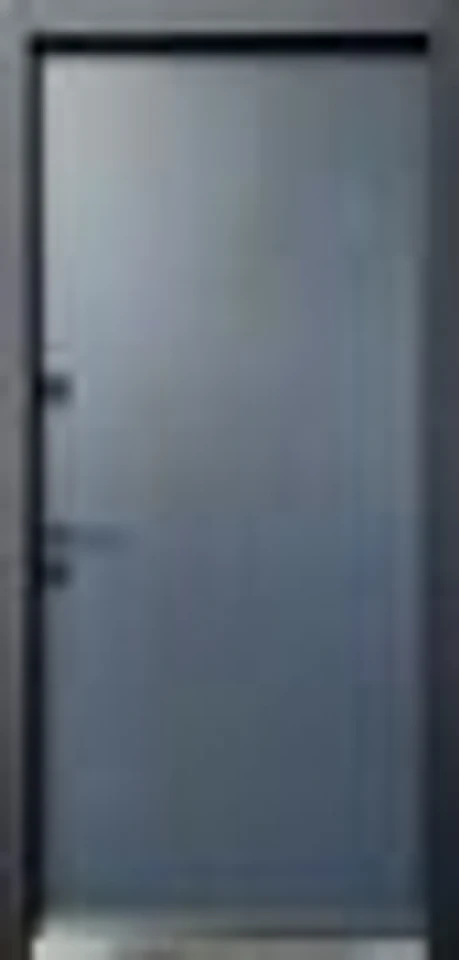 STRAJ Proof модель Party D - Двері в наявності на складі