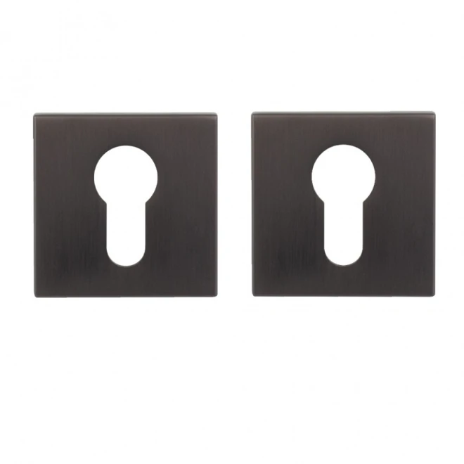 PZ PRIUS PZ78 2080 MSN matte nickel - Overlays