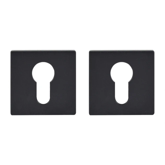 RZ RICH-ART RZ 1141 MWSC матовий хром - Накладки