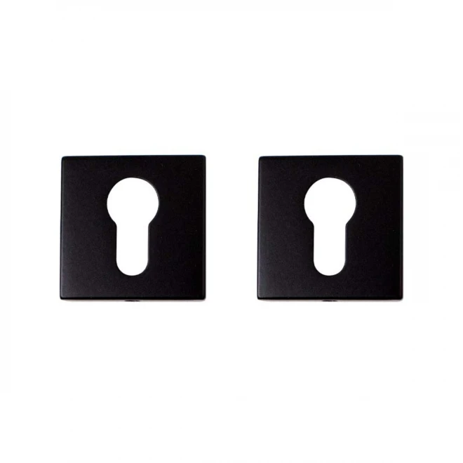 PZ CONVEX PZ 67658 нікель матовий - Накладки