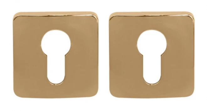 PZ COLOMBO PZ 28847 matte chrome - Overlays