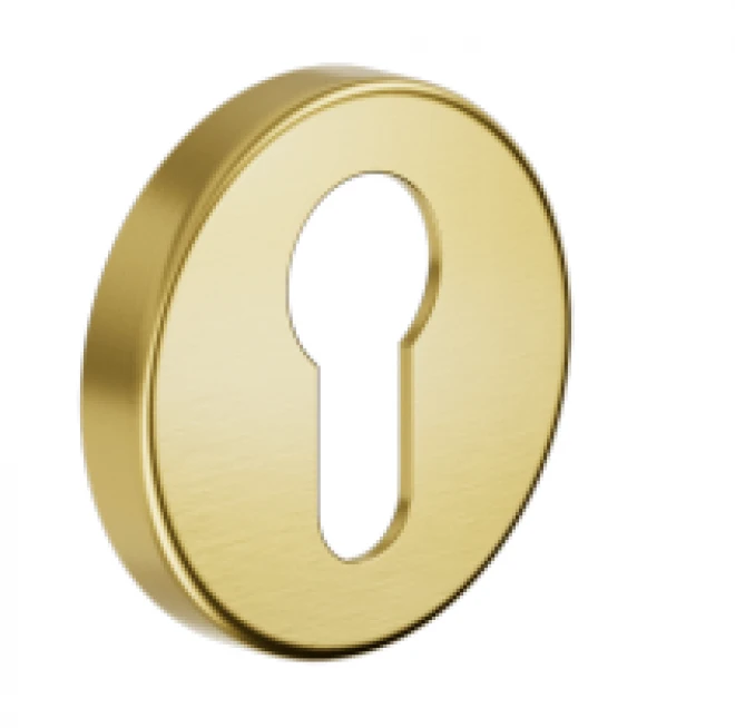 PZ DND 603/12Y-OGC блестящая бронза - Накладки