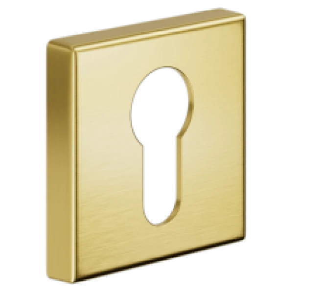 PZ DND LP14Y-ZCS матовый хром - Накладки