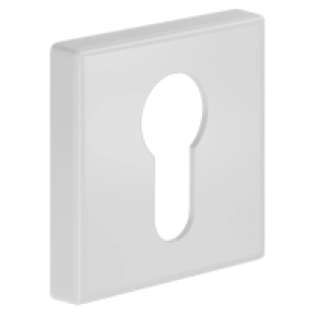 PZ DND LP14Y-ZBN white - Overlays