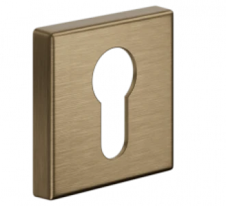 PZ DND LP14Y-ZGH матовая бронза - Накладки