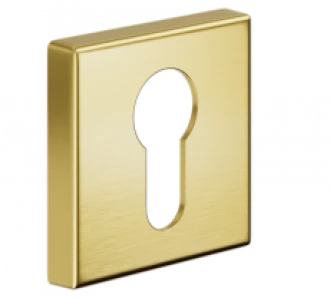 PZ DND LP14Y-ZOS матовая латунь - Накладки