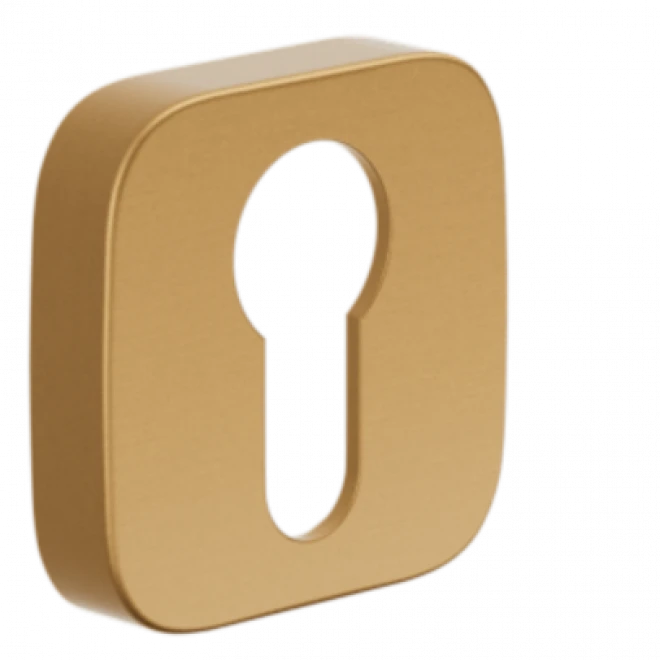 PZ DND PS48Y-ZRO матовое золото - Накладки