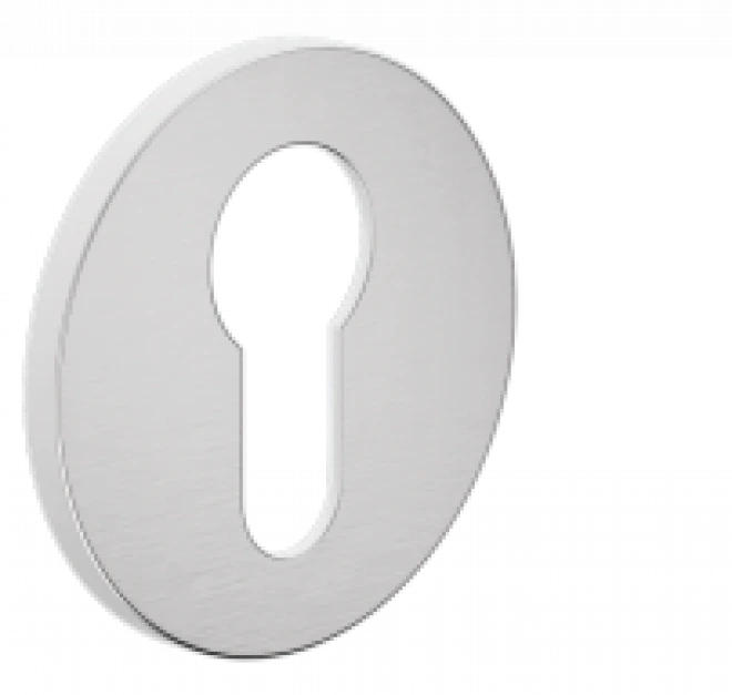 PZ DND TL01Y-ASV silver - Overlays