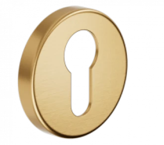 PZ DND VV12Y-PVD-SG античное матовое золото - Накладки