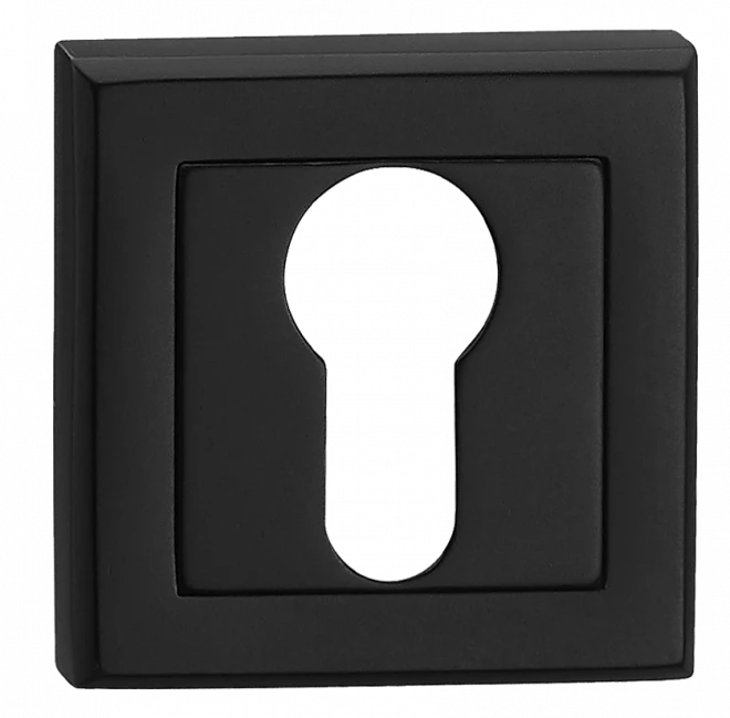 PZ HISAR NS AF2 SN/CP PZ никель матовый/хром полированный - Накладки